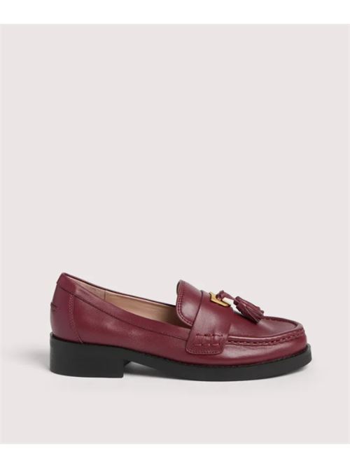 BEAT SELLERIA COCCINELLE | E4QF5160401R52 RIBES